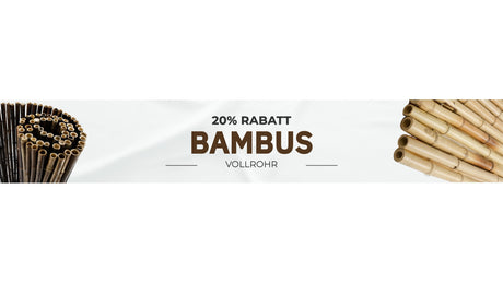 Bambus